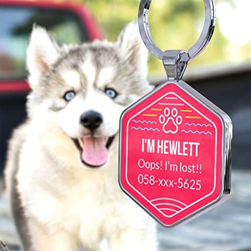 QR Code Dog Tags Personalized Pet ID Tags - Customize Dog Cat Tag - Pet Online Profile Display Pet Information