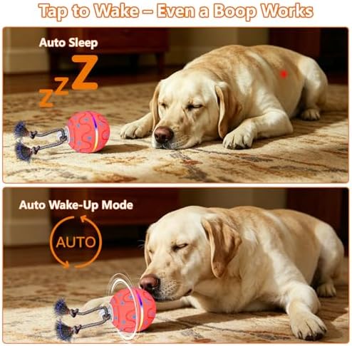 Interactive Dog Ball Toy with 2 Rope, Automatic Rolling & Bouncing Smart Dog Toy with Bird Chirping Sound and LED Light, Soft ETPU Chew-Safe Material, USB Rechargeable, for Medium & Large Dogs