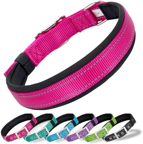 Reflective Dog Collar for Large Dogs Wide Padding 6 Holes Adjusta