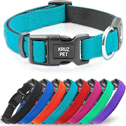 Dog Collar Bundle for Small Dogs (Width- 3/4", Neck - 10.5"-14.5") | Adjustable Padded Black & Turquoise Dog Collars with Heavy Duty O-Ring | Soft & Comfortable Fit for Large Dogs