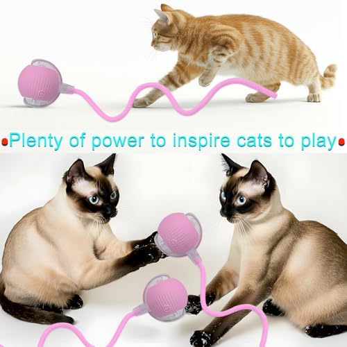 Interactive Cat Dog Toy Ball with LED Light, Automatic Rolling(Pink)