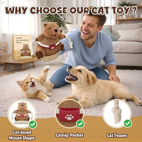 Cat Wrestling Glove, Cats Puppet Wrestler with Tough Padding for Safe Interactive Play, Cat Wrestling Toy Puppet with Cats Teaser and Bell for Boredom Busting Training and Exercise