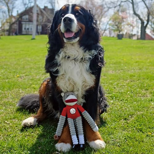 Littlearth NFL Kansas City Chiefs Sock Monkey Pet Toy, Team Color, One Size