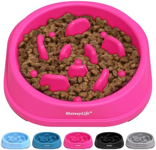 MateeyLife 1-Pack Slow Feeder Dog Bowls, 1 Cup, Dog Puzzle Feeder Bowl