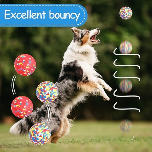 10 Pcs Dog Balls, 2.5 Inch Indestructible Tennis Balls for Aggressive Chewers, Durable Bouncy Interactive Toys Fetch Game and Teething Chew for Large Medium Small Dogs and Puppies, Colorful