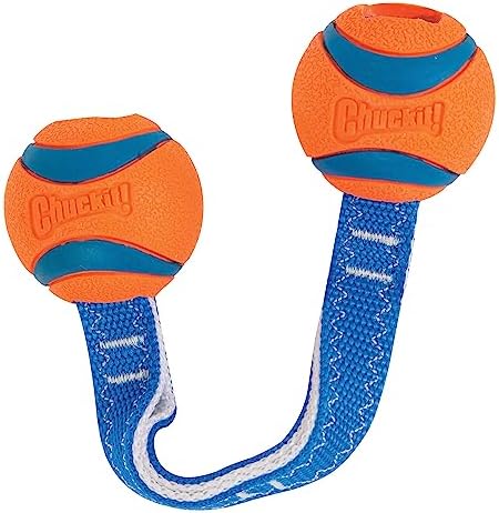 Chuckit! Ultra Duo Tug Toy, Small Indoor and Outdoor for Dogs 0-20 Pounds