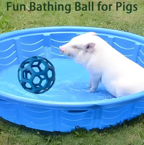 2PCS Pig Enrichment Toys, Mini Pig Supplies, Hanging Chew Ball with Rope + Replaceable Feeder Foraging Ball, Interactive Pig Enrichment Toy Set for Pigs, Treat Dispensing & Chew Activity Toy