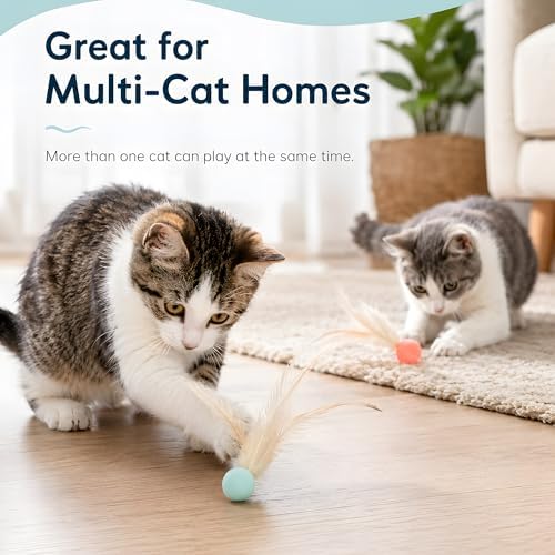 Bouncing Balls for Cats with Natural Feathers, 6 Pack Interactive Cat Toys