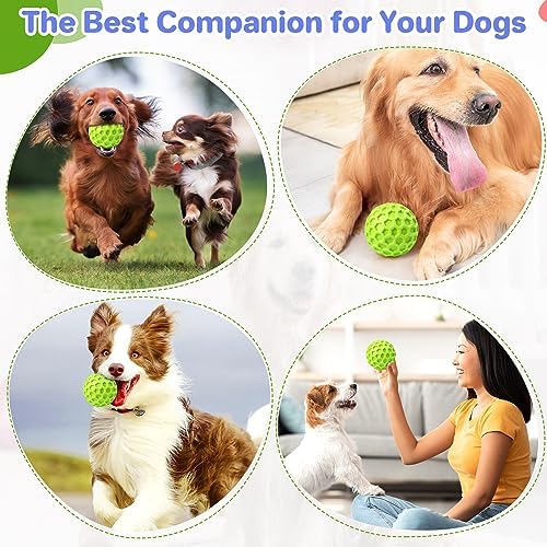 DISSKNIC Indestructible Squeaky Dog Balls Puppy Toys, Interactive Dog Toys for Small Dogs, Puppy Chew Toys for Teething and Relax, Dog Chew Toy Balls Small Dog Toys for Small Breed, Outdoor Dog Toys