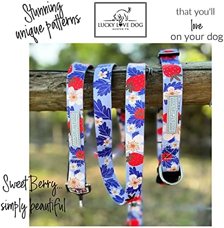 Lucky Love Dog Martingale Collar for Small Dogs Cute – Sweet Berry, Small