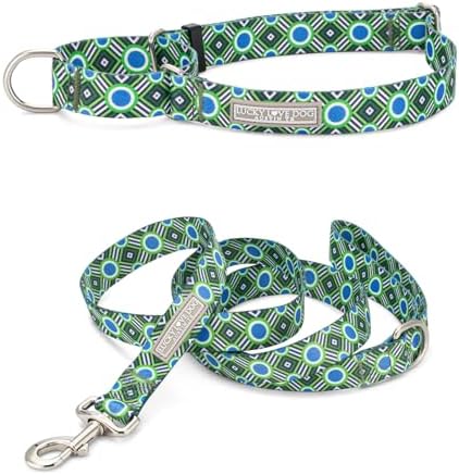 Lucky Love Dog Martingale Collar and Leash Set for Large Dogs – Leo, Large