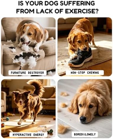 BurgeonNest Flirt Pole for Dogs with 3 Replacement Toys