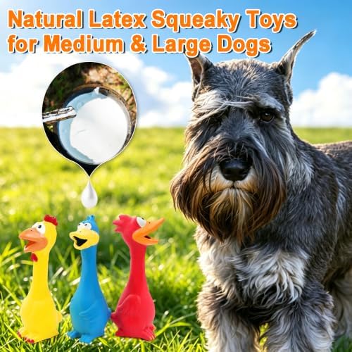 Squeaky Dog Toys 3 Pack, Natural Rubber Squeaky Chicken Rooster & Duck Interactive Chew Toys for Medium Large Dogs