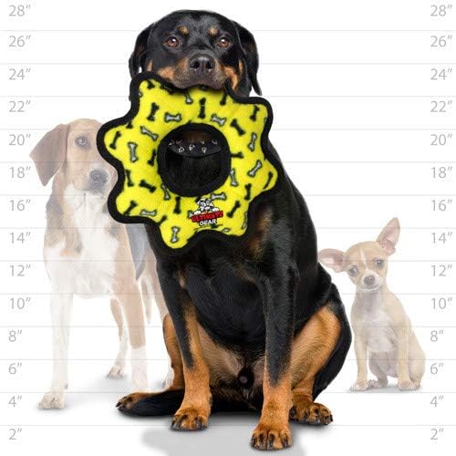 TUFFY® 2 Pack Ultimate Gear Ring Ultra Durable Plush Dog Toy