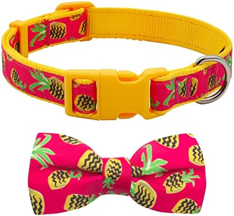 azuza Bowtie Dog Collar, Soft & Comfy Dog Collar with Bow, Fun Patterns & Bright Color for Large Dogs