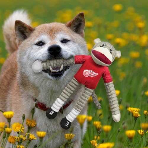 Littlearth NHL Team Sock Monkey Pet Toy - Officially Licensed Teams