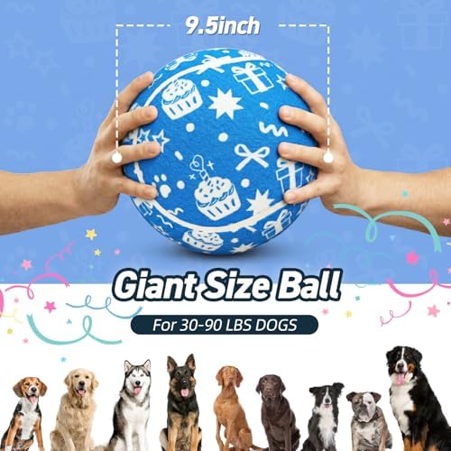 QDAN Dog Gifts, Puppy Dog Birthday Toys, Tennis Ball for Dogs, 9.5 Inch