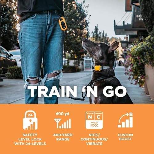 Dogtra CUE Yellow – E-Collar for Dogs Training Collar with Remote – Training Made Easy for Everyday Dog Owners – Gentle Vibration, Custom Boost, Waterproof, Rechargeable, 400-Yard Range System