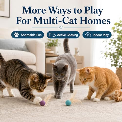 Bouncing Balls for Cats with Natural Feathers, 6 Pack Interactive Cat Toys