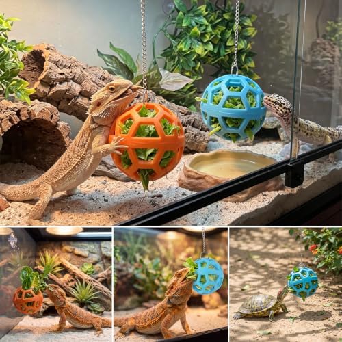 Bearded Dragon Enrichment Toys Feeder Ball, Veggie Feeder Ball & Exercise Balls Interactive Feed Toys, Greens Training Kit for Reptile Lizard Gecko, Reptile Tank Accessories