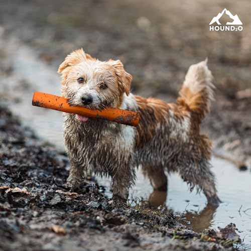 Playology Hound2O Fetch Stick Dog Toy - Outdoor Dog Toy - Orange