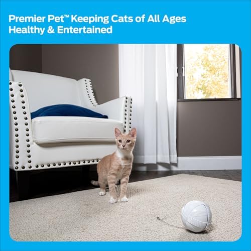 Premier Pet Fox Den Automatic Interactive Cat Toy