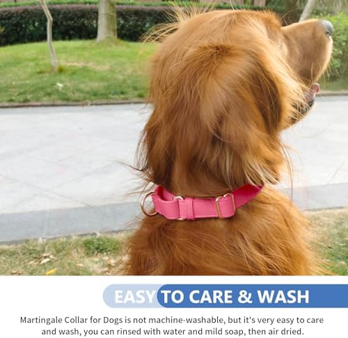 Soft Leather Martingale Dog Collar - Adjustable Rose Gold Limited Slip Collars [Easy to Clean], Stylish Durable Heavy Duty Nylon No Pull Training Collar for Small Medium Large Dogs M Hot Pink