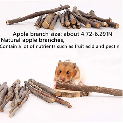 24PCS Hamster Chew Toys Set, Small Animal Teeth Grinding Molar Toys