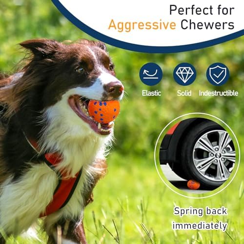 6 Pack Dog Balls Tennis Ball for Aggressive Chewers Indestructible Dog Toys