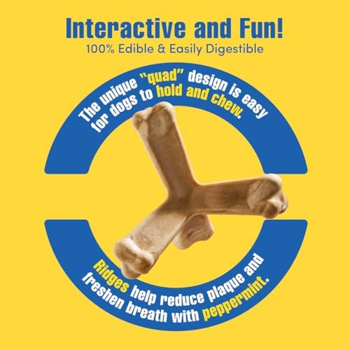 N-Bone Quado Edible Interactive Dog Chew, Peanut Butter Flavor, Easy Grip Design, Organic Dog Chew Good for Oral Health, Interactive Dog Treat, No Additives -Medium