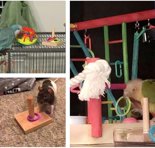 QBLEEV Bird Tabletop Toy, Parrot Activity & Training Trick Color Ring Toys
