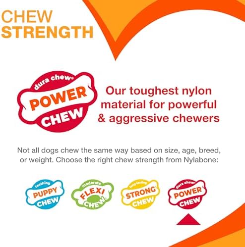 Nylabone Power Chew Broccoli Dog Chew Toy, Bacon & Cheese Flavor, Large