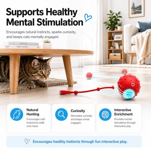AWISH Cat Enrichment Toy, Interactive Rolling Ball for Indoor Cats