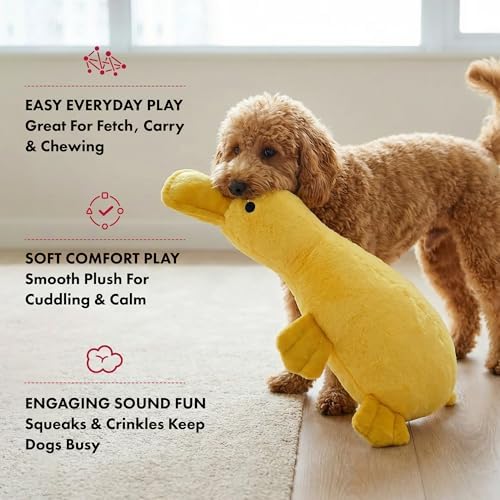 PetLou Colossal Durable Squeak 15-inch Promo Platypus Dog Toys -Durable Fabric -Tough and Reliable for Aggressive Chewers