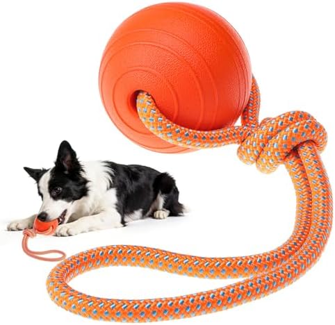 SCENEREAL Floating Dog Pool Toys - Ball on Rope Fetch and Tug-of-War Toy for Medium Large Dogs Outdoor Training, EVA Rubber Water Pet Interactive Toys for Summer Beach, Orange