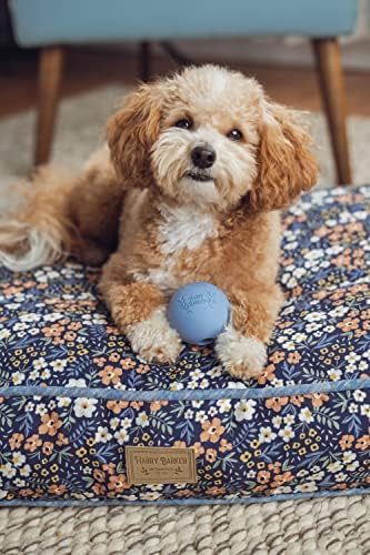 Harry Barker Natural Rubber Dog Fetch Balls, Durable High-Bounce Interactive Toy with Safety Air Vent, Treat-Stuffable Rubber Balls for Dogs, 2.5 Inch, 6-Pack
