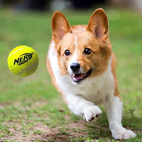 Nerf Dog Tennis Ball Blaster Dog Toy,12 Inch Translucent Blaster with 3 Balls