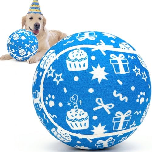 QDAN Dog Gifts, Puppy Dog Birthday Toys, Tennis Ball for Dogs, 9.5 Inch