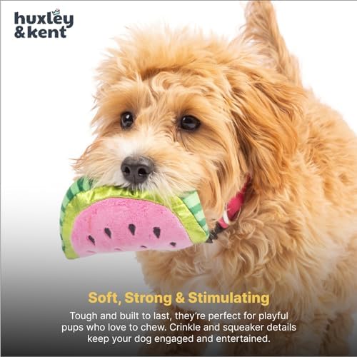 Huxley & Kent Tiny Tuff Plush Dog Toy, Walter Melon, Small
