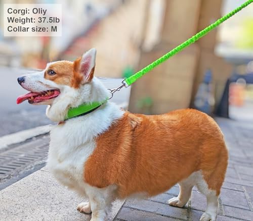 Reflective Dog Collar for Medium Dogs Wide Padding 6 Holes Adjusta