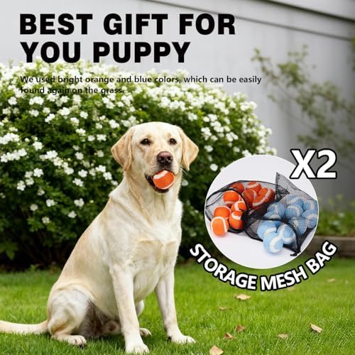 MECOOL Tennis Balls for Dogs 2.5in 20PCS Fetch Interactive Dog Balls Durable Toys for Cleaning Teeth Indoor/Outdoor Playing for Dogs(Blue and Orange)