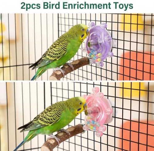 2PCS Bird Toys for Parakeets Interactive Spinner Rattle Parrot Toys