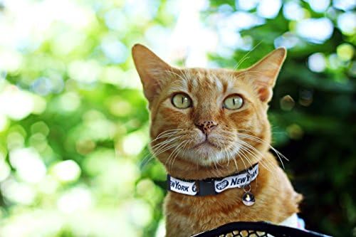 Pets First COLLAR for CATS - NFL NEW YORK JETS CAT COLLAR. - Strong & Adjustable FOOTBALL Cat Collars with Metal Jingle Bell