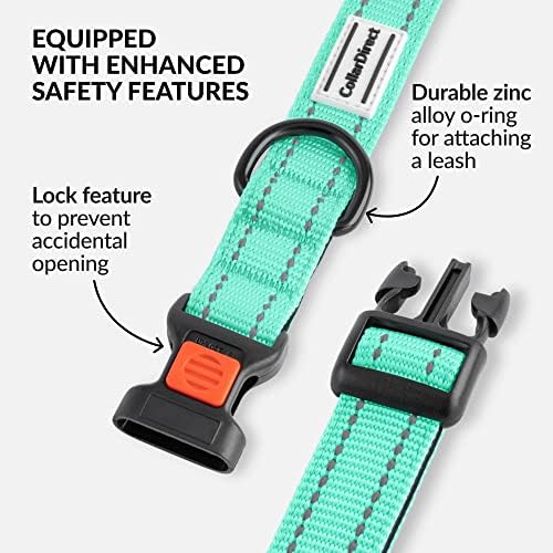 Reflective Dog Collar, Quick-Release Buckle (Mint Green, 14-18 Inch)