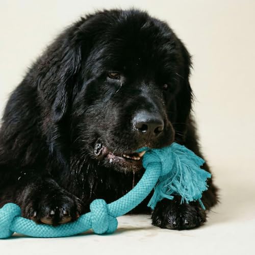 Playology Tug Rope Dog Toys for Large Breeds - Mega, Peanut Butter Scent