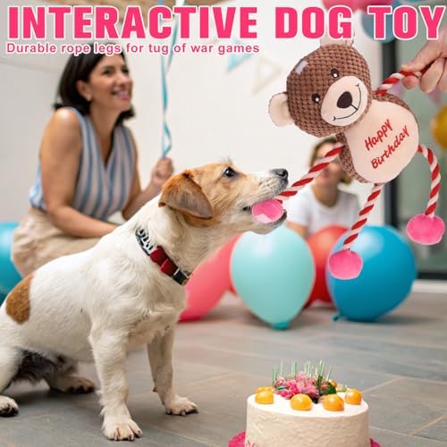 EXPAWLORER Squeaky Dog Birthday Toys - Durable Plush Dog Toy with Crinkle Paper,Chew Toys Soft Fabric for Small, Medium, and Large Dogs to Keep Them Busy,Training Reward, Pink Bear