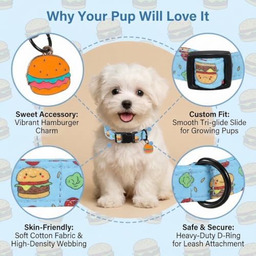 Cute Dog Collar, Blue Dog Collar with Burger Pattern and Cute Charm, Puppy Collar with Quick Release Buckle and Durable Fabric, Suitable for Small Dogs