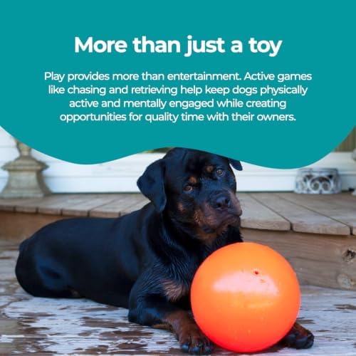 Jolly Pets Bounce-n-Play Dog Toy Ball, 8 Inches/Large, Orange, (Model: 2508 OR)