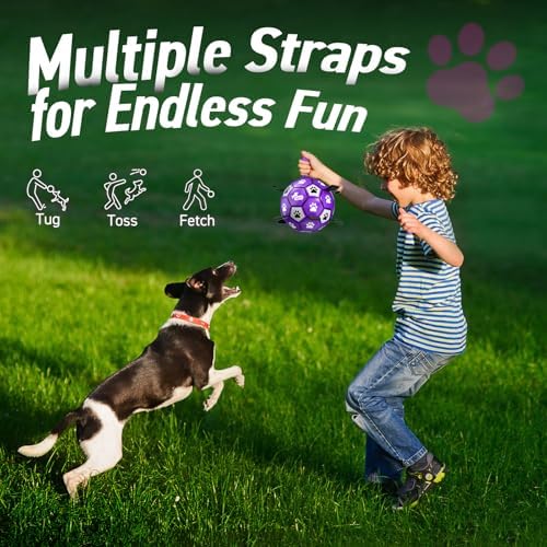QDAN Soccer Ball for Dogs with Straps, Large Dog Balls, 8 Inch Puppy Toys | Outdoor Herding Balls for 30-90 lbs Dogs, Interactive Soccer Toy for Interactive, Dog Ball Toy to Keep Them Busy, Purple