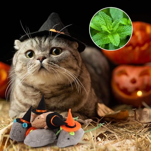 FOIMAS Halloween Catnip Toys,Witch Mouse Catnip Toy Chew Bite Plush Mice Toy for Cat Interactive, Pack of 6